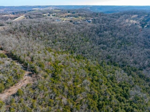 0 Freeman Ln, Hollister, MO 65672