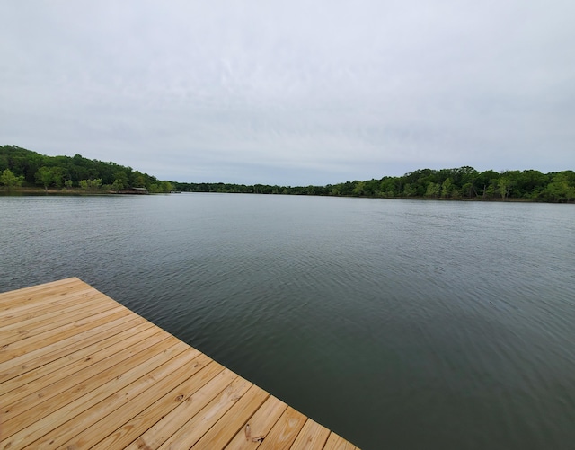 62 Turtledove Ln, Lampe, MO 65681 - dock featuring a water view and a forest view