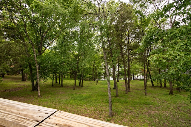 62 Turtledove Ln, Lampe, MO 65681 - deck featuring a yard