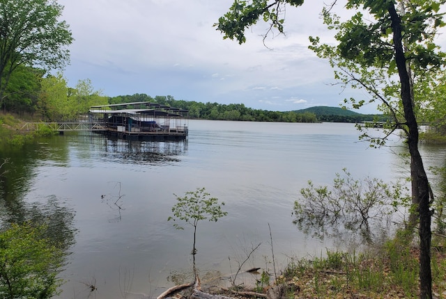 62 Turtledove Ln, Lampe, MO 65681 - water view featuring a floating dock and a forest