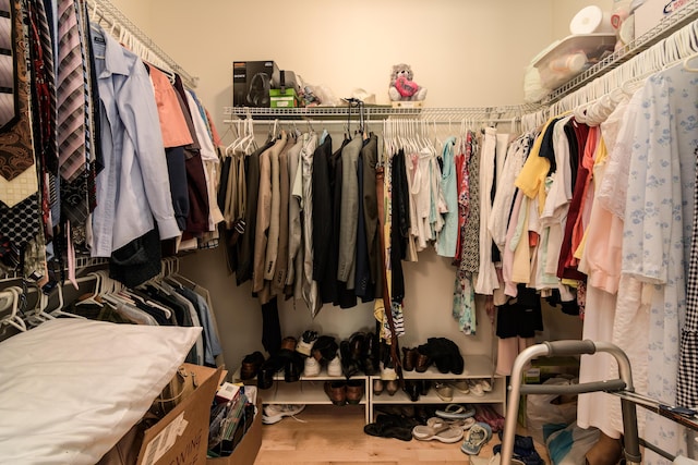 62 Turtledove Ln, Lampe, MO 65681 - walk in closet with wood finished floors