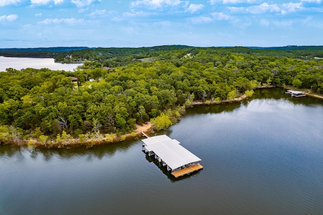 62 Turtledove Ln, Lampe, MO 65681 - aerial view of a forest and a large body of water