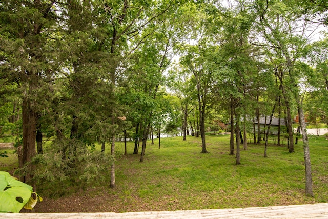 62 Turtledove Ln, Lampe, MO 65681 - view of local wilderness