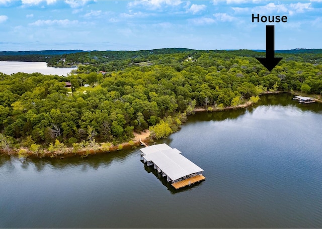 62 Turtledove Ln, Lampe, MO 65681 - bird's eye view of a large body of water and a forest