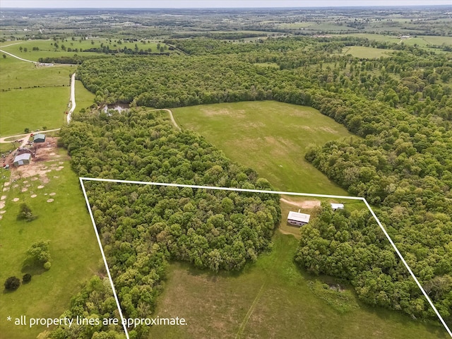 4949 S 196th Rd, Halfway, MO 65663 - view of property location with property boundaries highlighted and a heavily wooded area