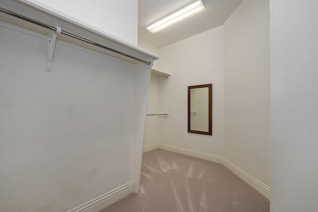 5245 S Stonehaven Dr, Springfield, MO 65809 - walk in closet with light colored carpet