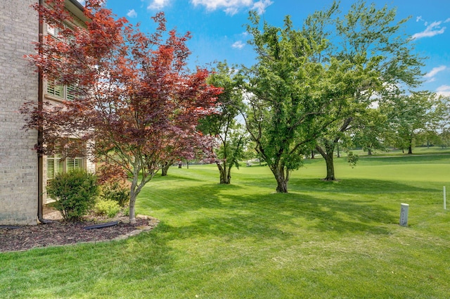 5245 S Stonehaven Dr, Springfield, MO 65809 - view of green lawn