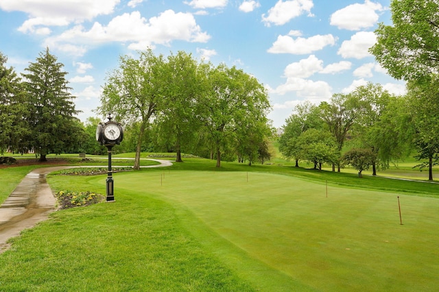 5245 S Stonehaven Dr, Springfield, MO 65809 - surrounding community with an area to practice putting, a yard, and view of wooded area