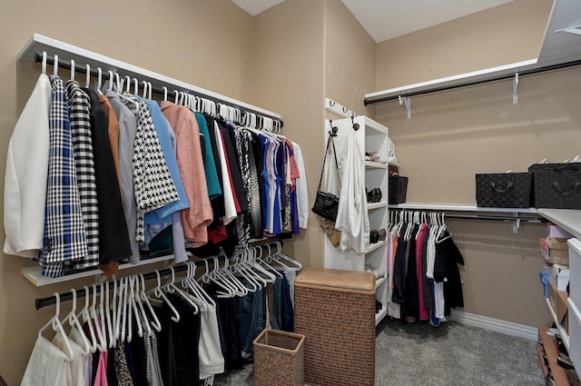 spacious closet featuring carpet floors