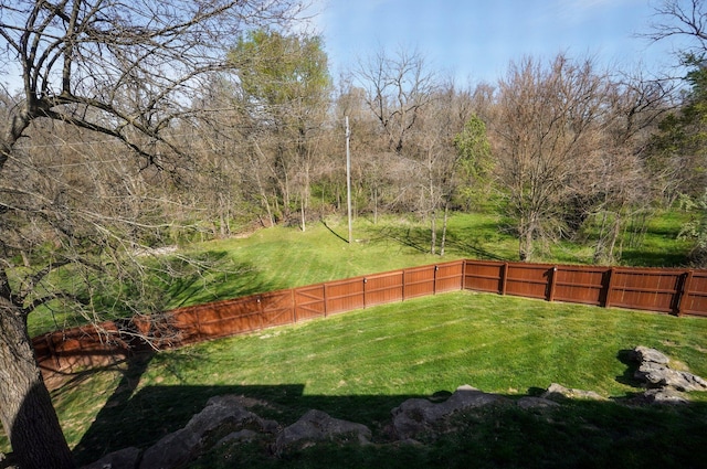 view of yard