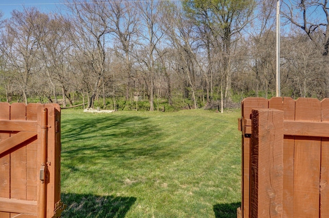 view of green lawn with a gate
