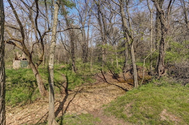 view of undeveloped land