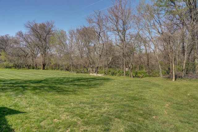 view of green lawn