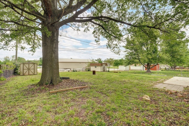 view of yard featuring a storage shed and an outdoor structure