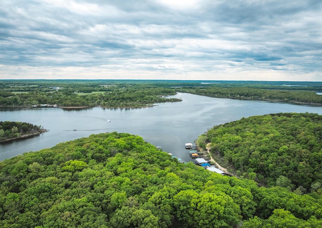 aerial view of a forest and a nearby body of water