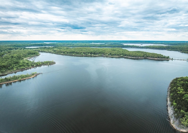 aerial view of a nearby body of water and a forest
