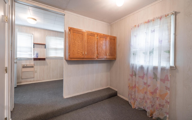 clothes washing area with carpet floors, crown molding, and heating unit