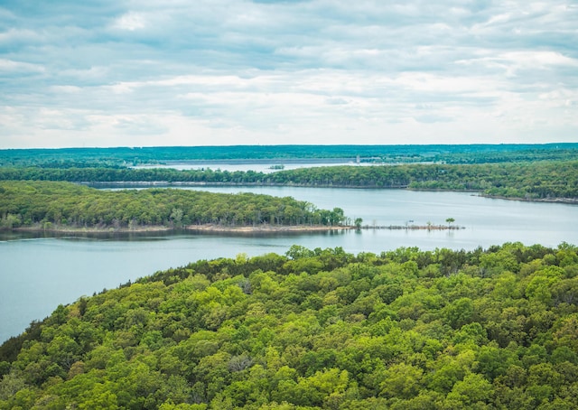 water view with a forest