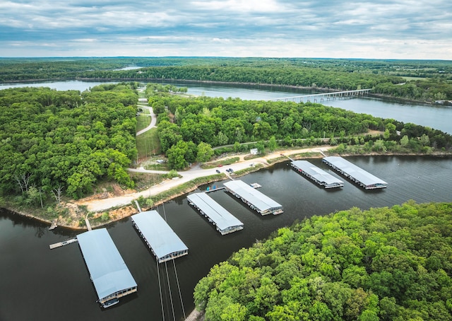 drone / aerial view of a forest and a large body of water