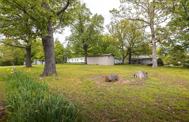 view of green lawn
