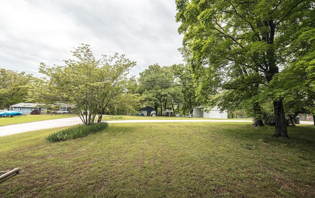 view of green lawn