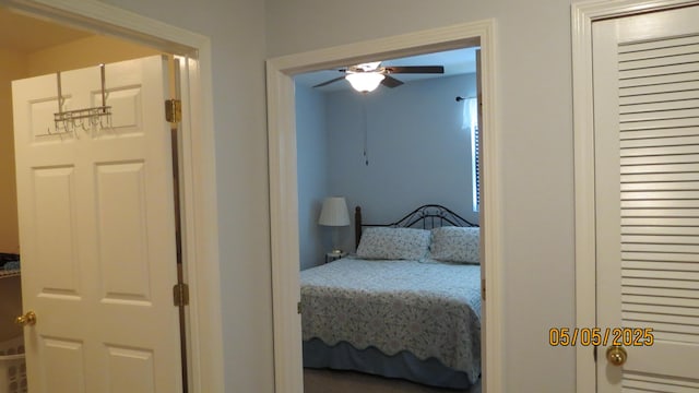 7808 Cozy Cove Rd, Branson, MO 65616 - photo 23