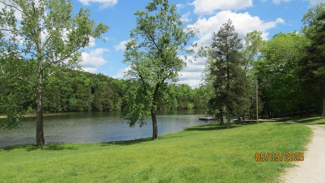 7808 Cozy Cove Rd, Branson, MO 65616 - photo 29