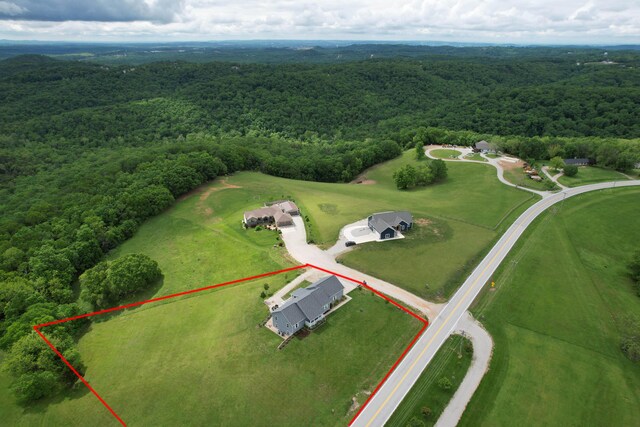 135 Kelly Crossing Ln, Walnut Shade, MO 65771 - photo 53