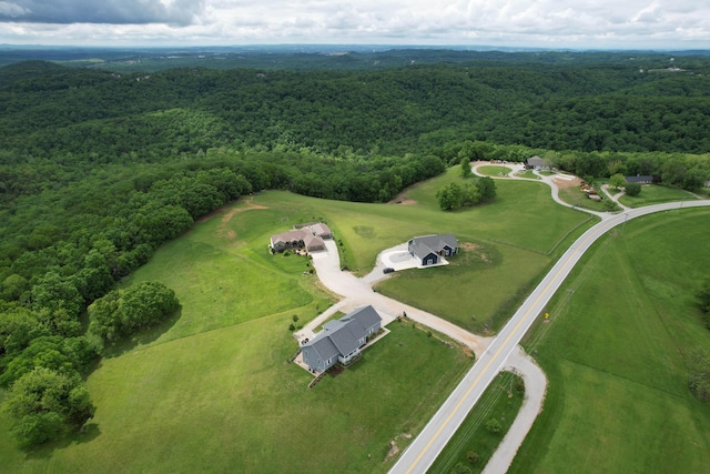 135 Kelly Crossing Ln, Walnut Shade, MO 65771 - photo 54