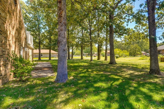 view of green lawn