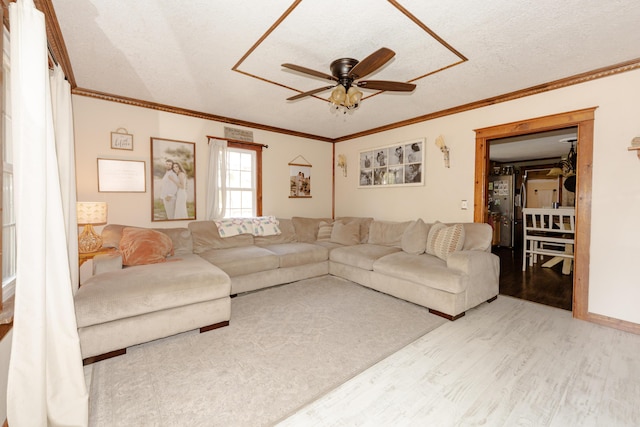 111 W Olive St, El Dorado Springs, MO 64744 - living room with a ceiling fan, wood finished floors, ornamental molding, and a textured ceiling
