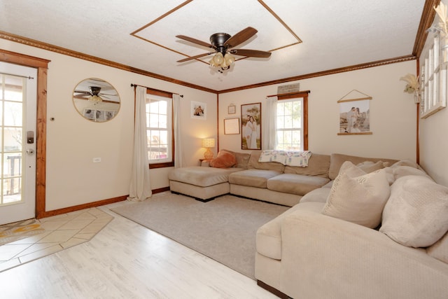 111 W Olive St, El Dorado Springs, MO 64744 - living room featuring ceiling fan, light wood finished floors, crown molding, a textured ceiling, and baseboards