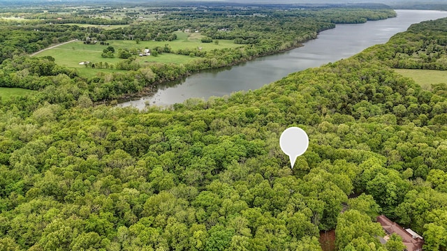 4855 E Cimarron Ln, Springfield, MO 65803 - aerial view of a large body of water and a forest