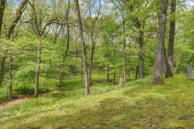 4855 E Cimarron Ln, Springfield, MO 65803 - view of tree filled area