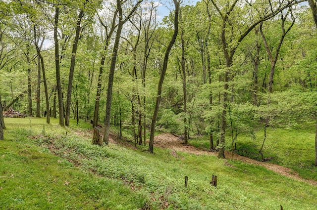 4855 E Cimarron Ln, Springfield, MO 65803 - view of wooded area