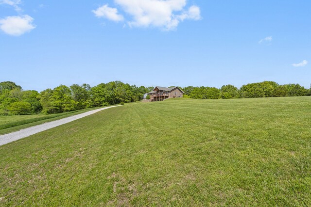 2885 Possum Trot Rd, Billings, MO 65610 - view of green lawn with a view of trees
