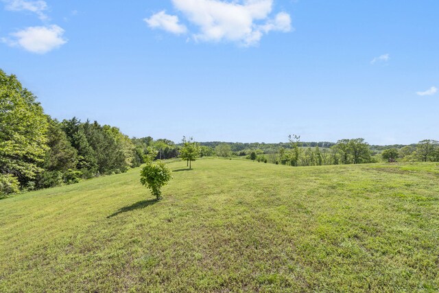 2885 Possum Trot Rd, Billings, MO 65610 - view of local wilderness with rural landscape