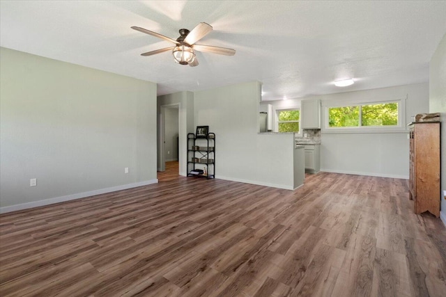 79 County Road 101, Gainesville, MO 65655 - unfurnished living room with ceiling fan, wood finished floors, and baseboards