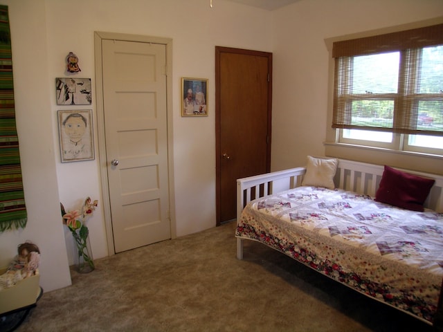 bedroom with carpet floors