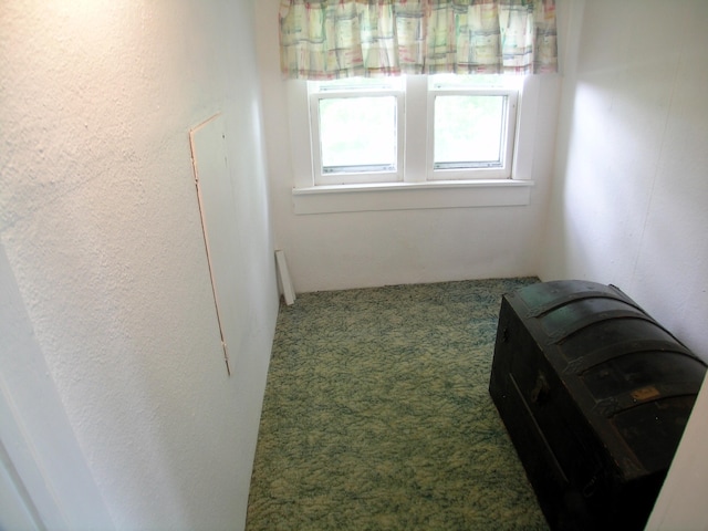 unfurnished room featuring carpet floors