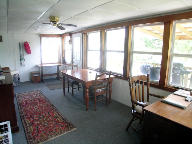 dining space with carpet floors, a ceiling fan, and a paneled ceiling