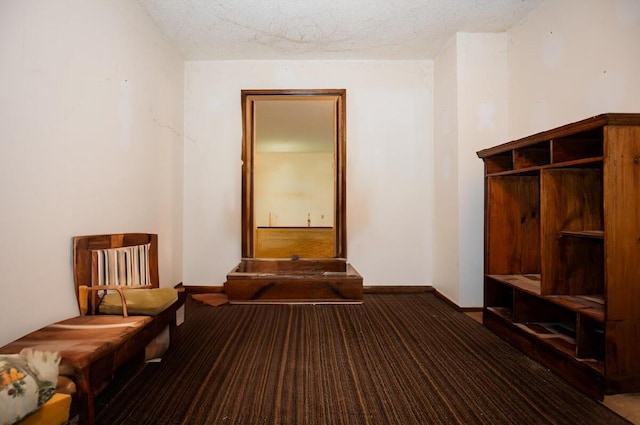 mudroom with carpet flooring, a textured ceiling, and baseboards