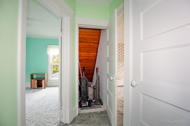 hallway with carpet floors