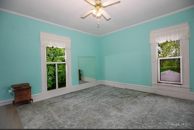 spare room with crown molding, a ceiling fan, baseboards, and wood finished floors