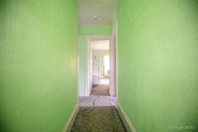 hall featuring carpet and baseboards
