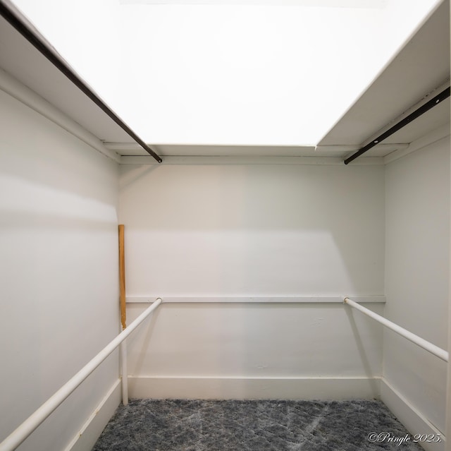 walk in closet featuring carpet floors