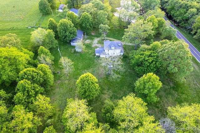 drone / aerial view