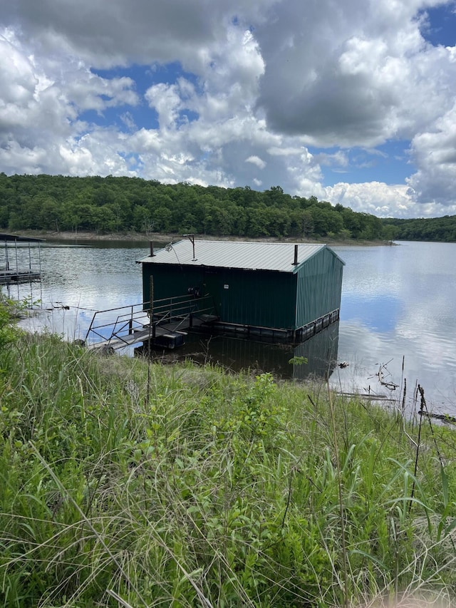 dock with a water view and a forest view