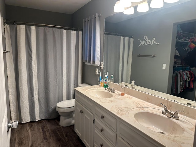 313 Washington St, Mountain View, MO 65548 - full bath featuring wood finished floors, toilet, double vanity, and a walk in closet