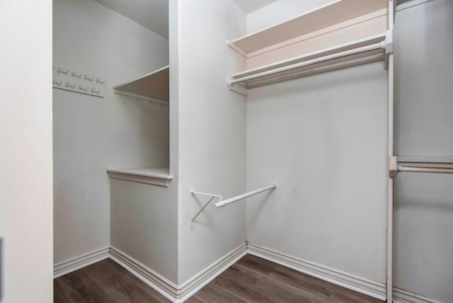 spacious closet with wood finished floors